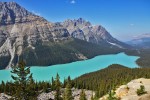 Banff National Park - Peyto Lake
