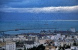 Ptaki nad portem w Algierze

