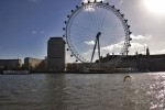 London Eye
