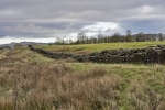 Mur Hadriana
