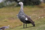 Park Tierra del Fuego
