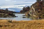 Park Tierra del Fuego
