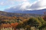 Park Tierra del Fuego
