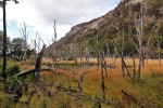 Park Tierra del Fuego
