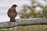 Park Tierra del Fuego
