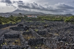 Pico - wine scenery (Unesco)
