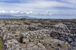 Pico - wine scenery (Unesco)
