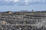 Pico - wine scenery (Unesco)
