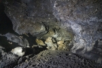 Pico - lava tunnel
