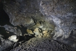 Pico - lava tunnel
