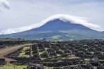 Pico - wine scenery (Unesco)
