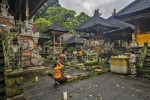Bali
