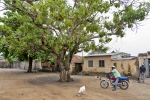 Slave route Ouidah

