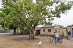 Slave route Ouidah
