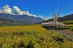 okolice Punakha
