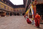 Paro
