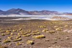 Laguna Aquascalientes
