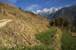 Tiger Leaping Gorge
