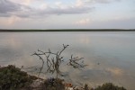 Słone jezioro w Larnace
