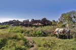 Asmara - tank graveyard
