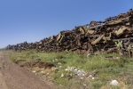 Asmara - tank graveyard
