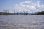 Chamo Lake
