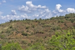 Konso Cultural Landscape
