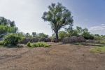Mursi village
