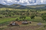 Banna village
