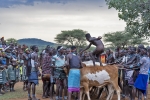 Plemi Hamer - ceremonia bulljumping i chostania kobiet

