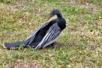 Everglades National Park
