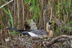 Everglades National Park
