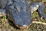 Everglades National Park
