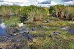 Everglades National Park
