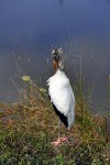 Everglades National Park
