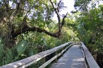 Everglades National Park
