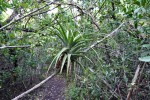 Everglades National Park
