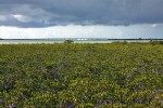 Florida Keys
