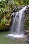 Annandale Waterfalls
