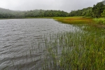 Grand Etang Lake
