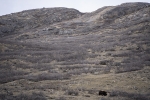 Kangerlussuaq - trekking na lodowiec
