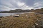 Kangerlussuaq
