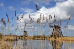 Kinderdijk
