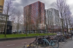 Rotterdam
