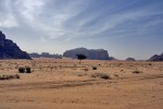 Wadi Rum
