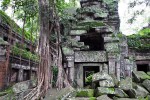 Angkor - Ta Prohm
