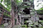 Angkor - Ta Prohm
