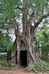 Angkor - Banteay Prei
