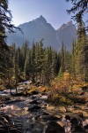 Banff National Park
