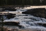 Jasper National Park - Athabasca Falls
